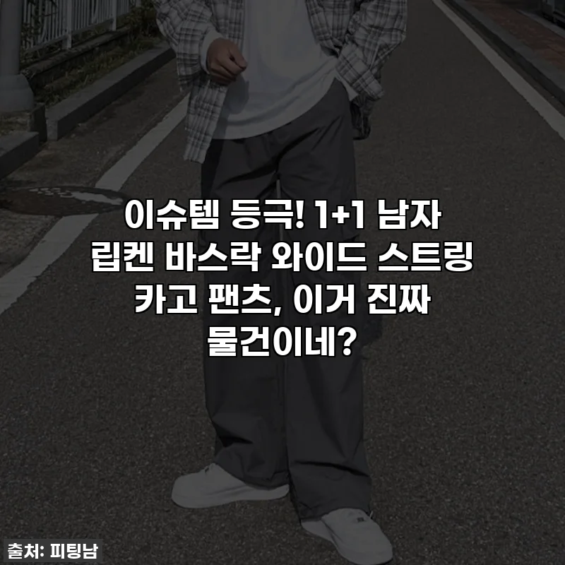 이슈템 등극! 1+1 남자 립켄 바스락 와이드 스트링 카고 팬츠, 이거 진짜 물건이네?