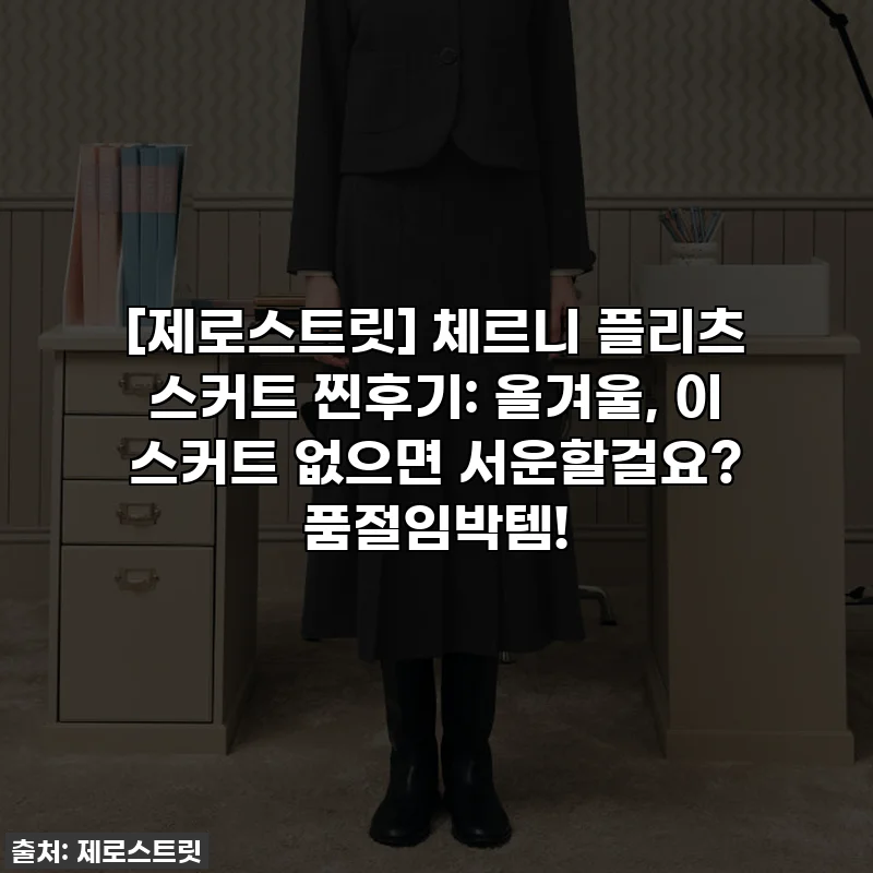 [제로스트릿] 체르니 플리츠 스커트 찐후기: 올겨울, 이 스커트 없으면 서운할걸요? 품절임박템!