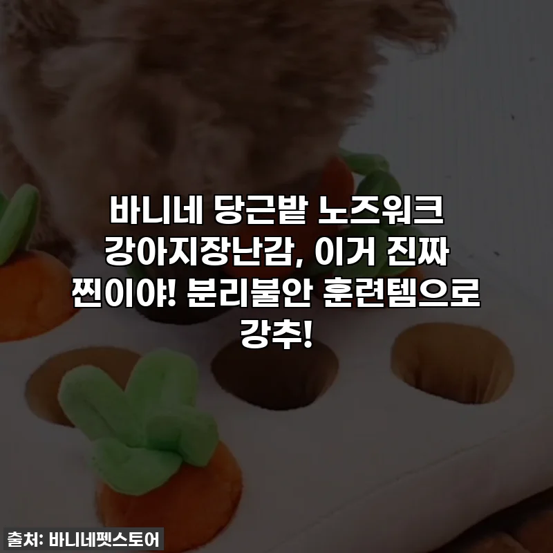 바니네 당근밭 노즈워크 강아지장난감, 이거 진짜 찐이야! 분리불안 훈련템으로 강추!