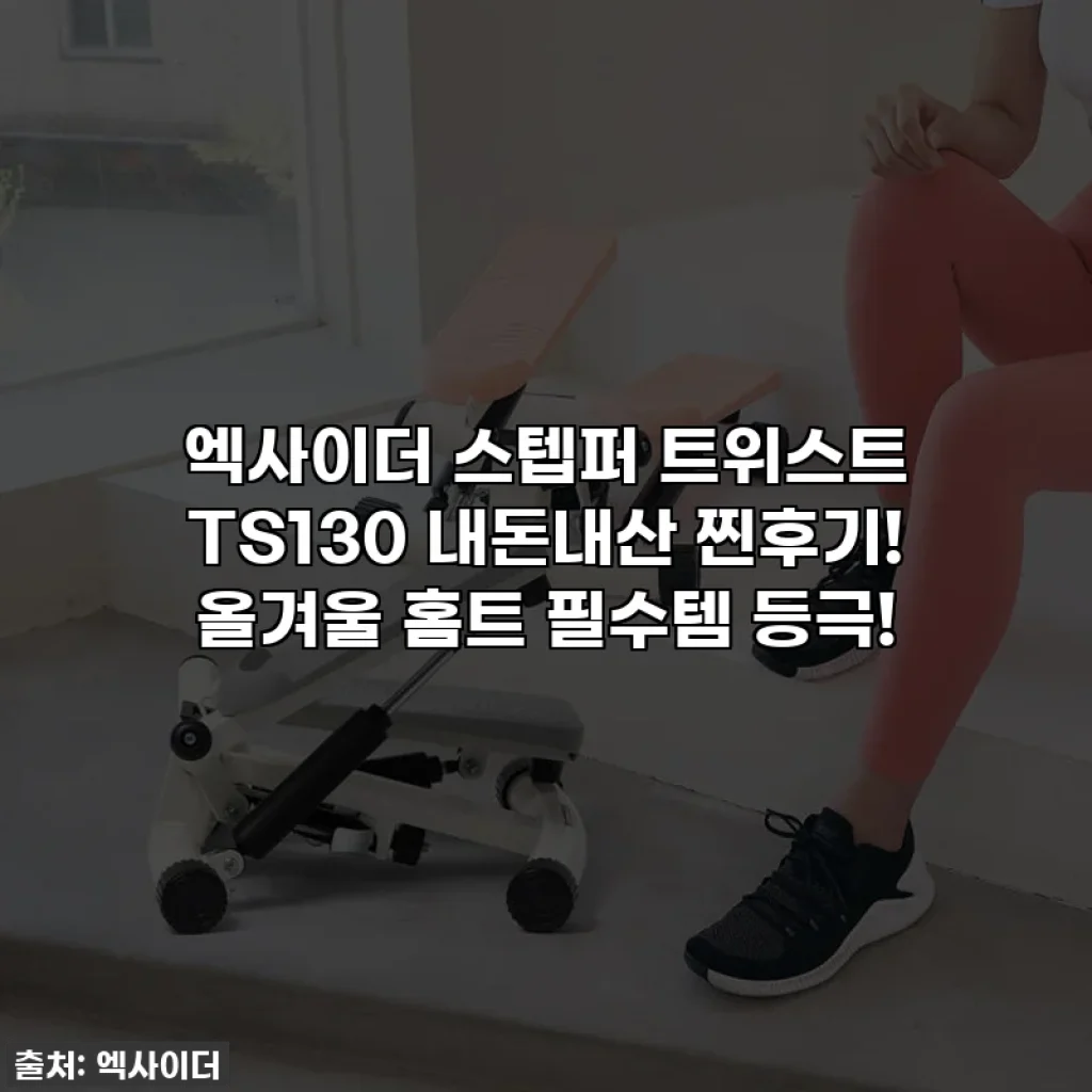 엑사이더 스텝퍼 트위스트 TS130 내돈내산 찐후기! 올겨울 홈트 필수템 등극!