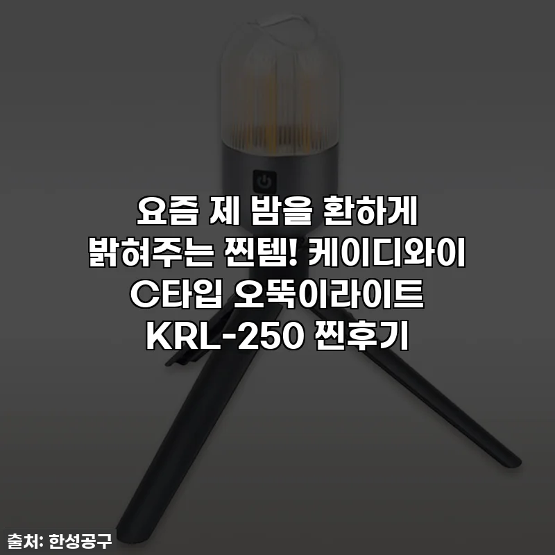 요즘 제 밤을 환하게 밝혀주는 찐템! 케이디와이 C타입 오뚝이라이트 KRL-250 찐후기