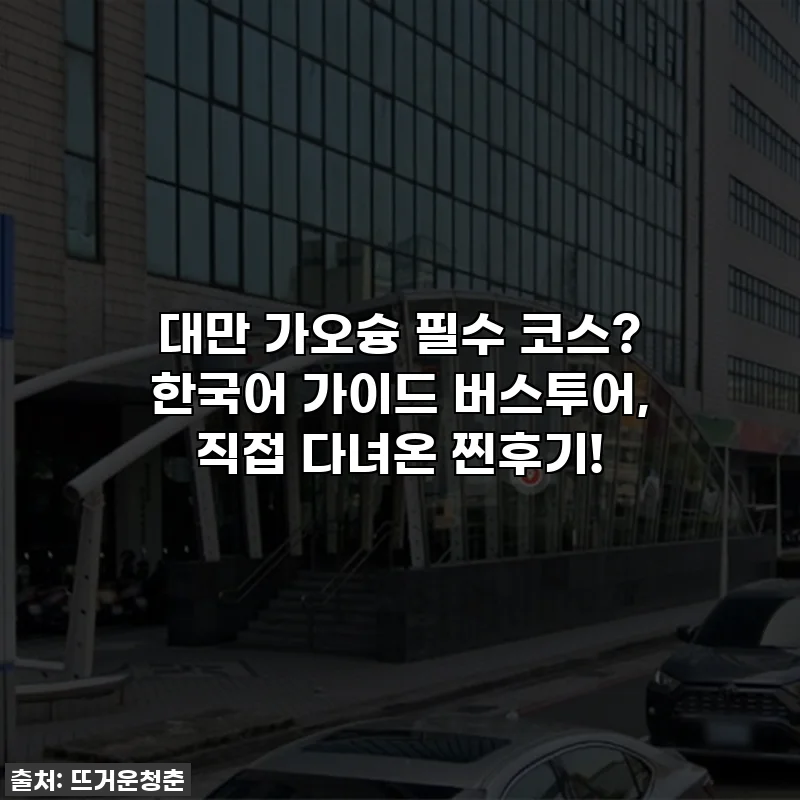 대만 가오슝 필수 코스? 한국어 가이드 버스투어, 직접 다녀온 찐후기!