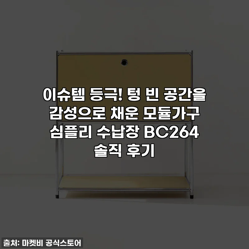 이슈템 등극! 텅 빈 공간을 감성으로 채운 모듈가구 심플리 수납장 BC264 솔직 후기