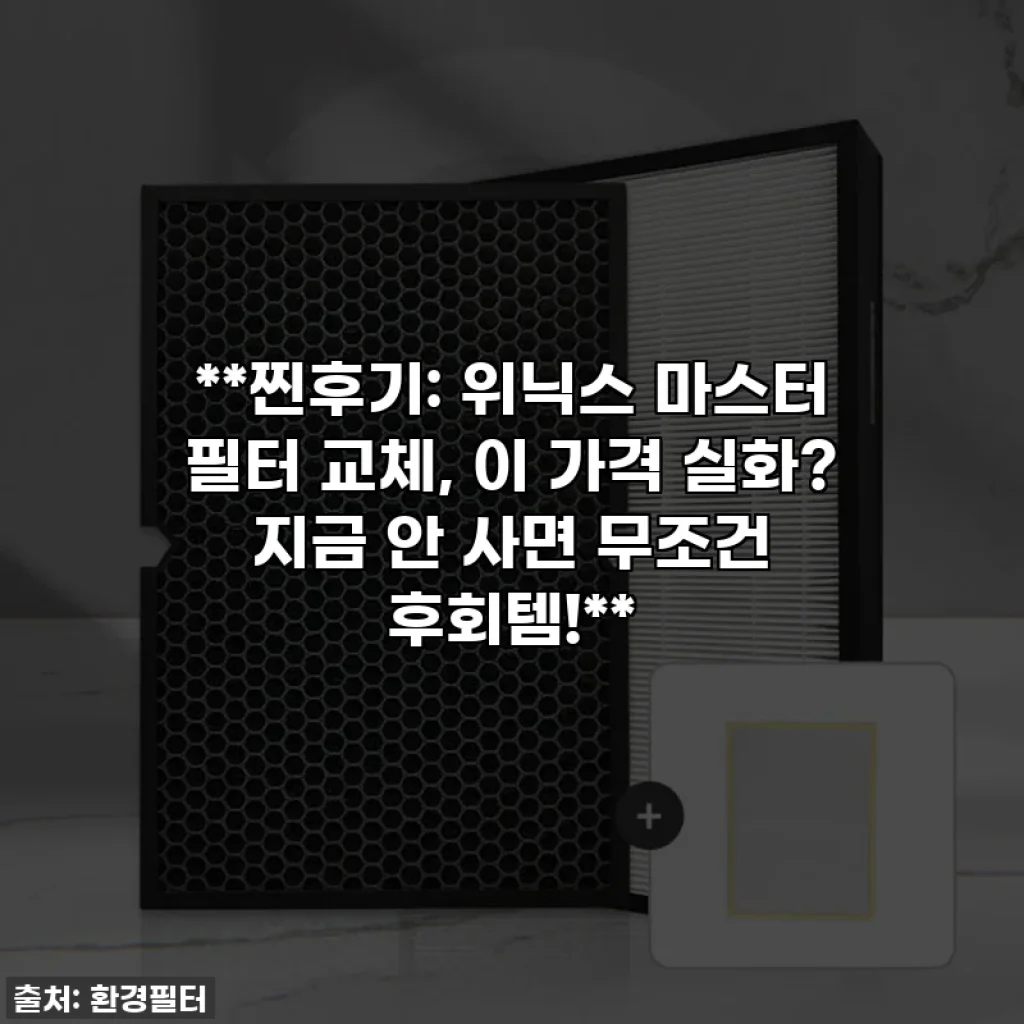 **찐후기: 위닉스 마스터 필터 교체, 이 가격 실화? 지금 안 사면 무조건 후회템!**