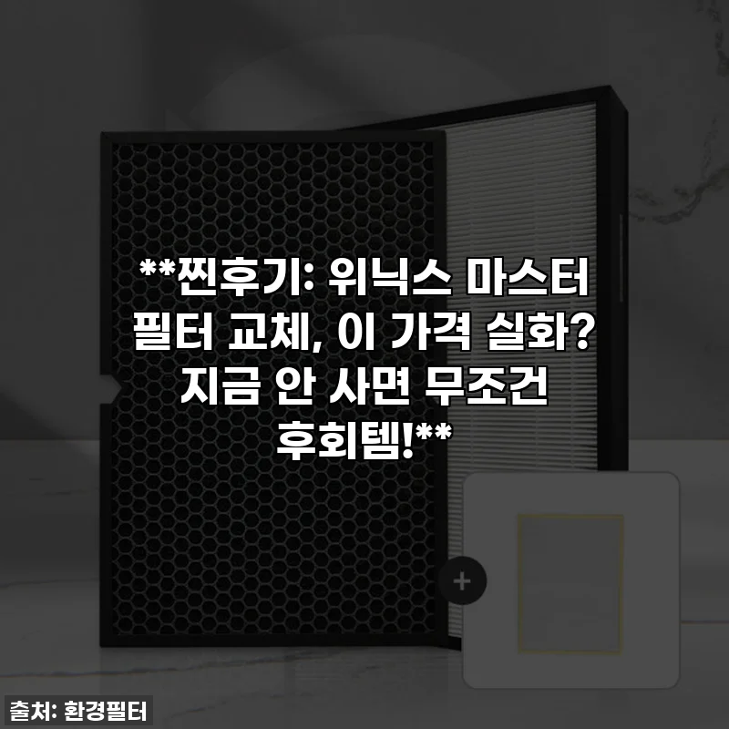 **찐후기: 위닉스 마스터 필터 교체, 이 가격 실화? 지금 안 사면 무조건 후회템!**
