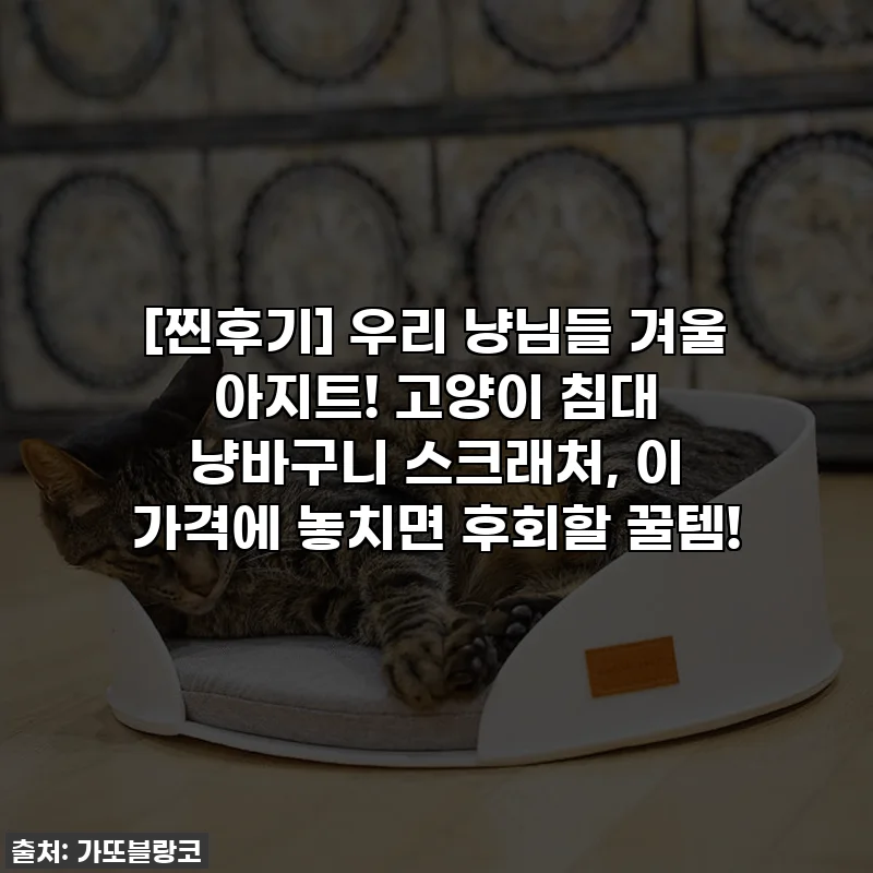 [찐후기] 우리 냥님들 겨울 아지트! 고양이 침대 냥바구니 스크래처, 이 가격에 놓치면 후회할 꿀템!