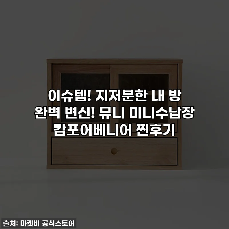 이슈템! 지저분한 내 방 완벽 변신! 뮤니 미니수납장 캄포어베니어 찐후기