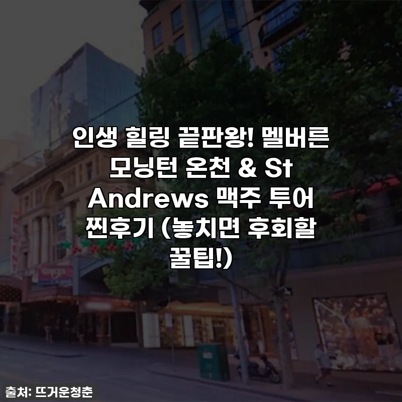 인생 힐링 끝판왕! 멜버른 모닝턴 온천 & St Andrews 맥주 투어 찐후기 (놓치면 후회할 꿀팁!)