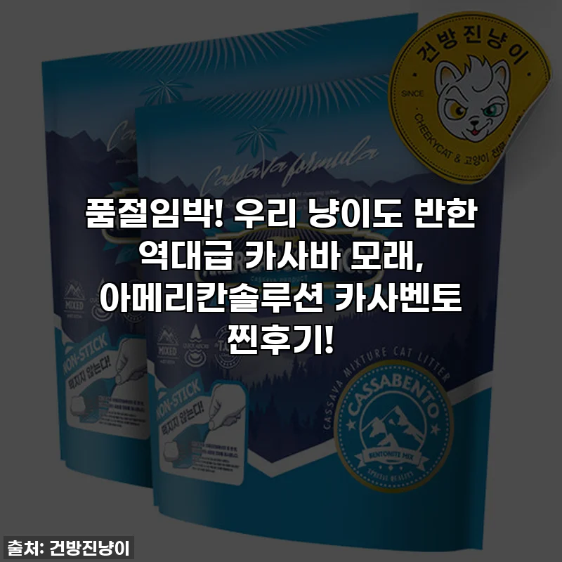 품절임박! 우리 냥이도 반한 역대급 카사바 모래, 아메리칸솔루션 카사벤토 찐후기!