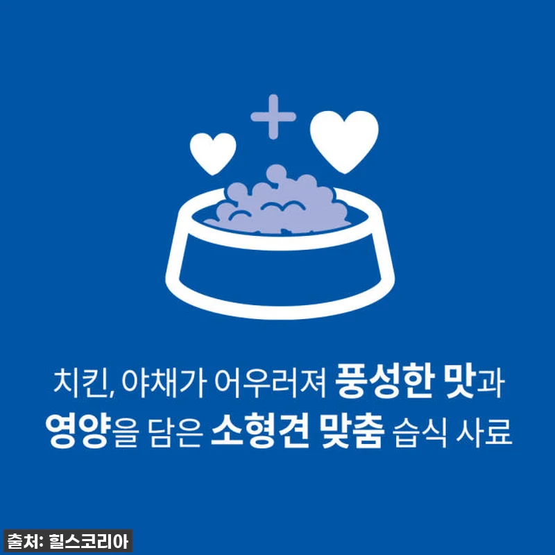 우리집 댕댕이, 밥상 혁명템 발견! 관련 이미지 1