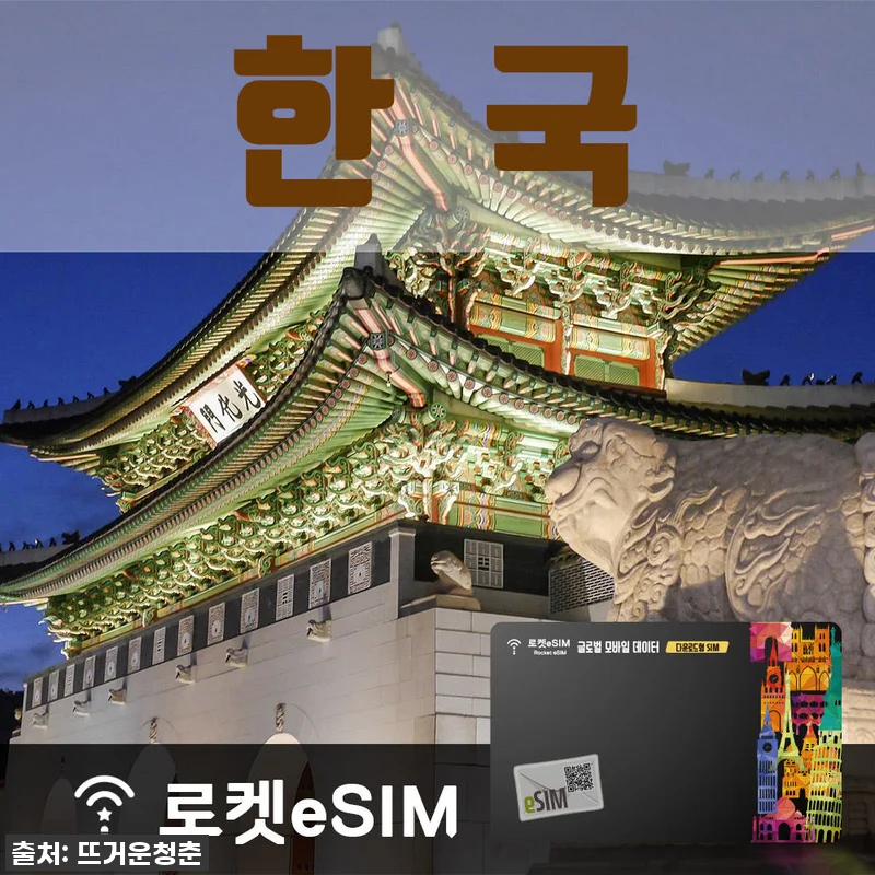 한국 여행 필수템 등극! 로켓eSIM 관련 이미지 1