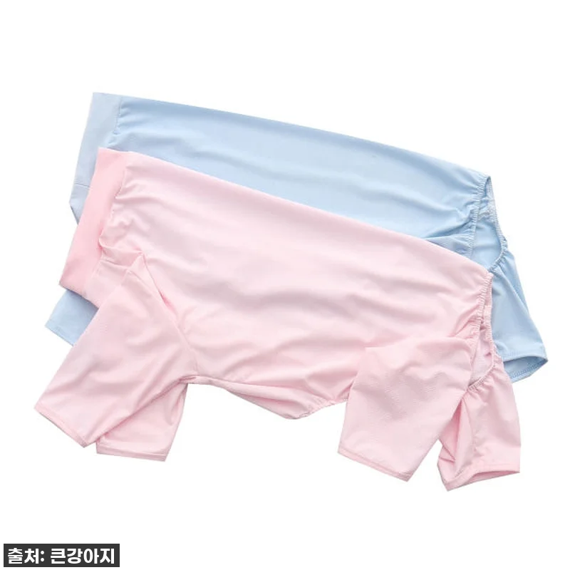 우리 토리 여름 산책 필수템! 찐후기) 강아지 올인원 쿨링 실내복, 진드기 걱정 뚝! 10 우리 토리 여름 산책 필수템! 찐후기 관련 이미지 1