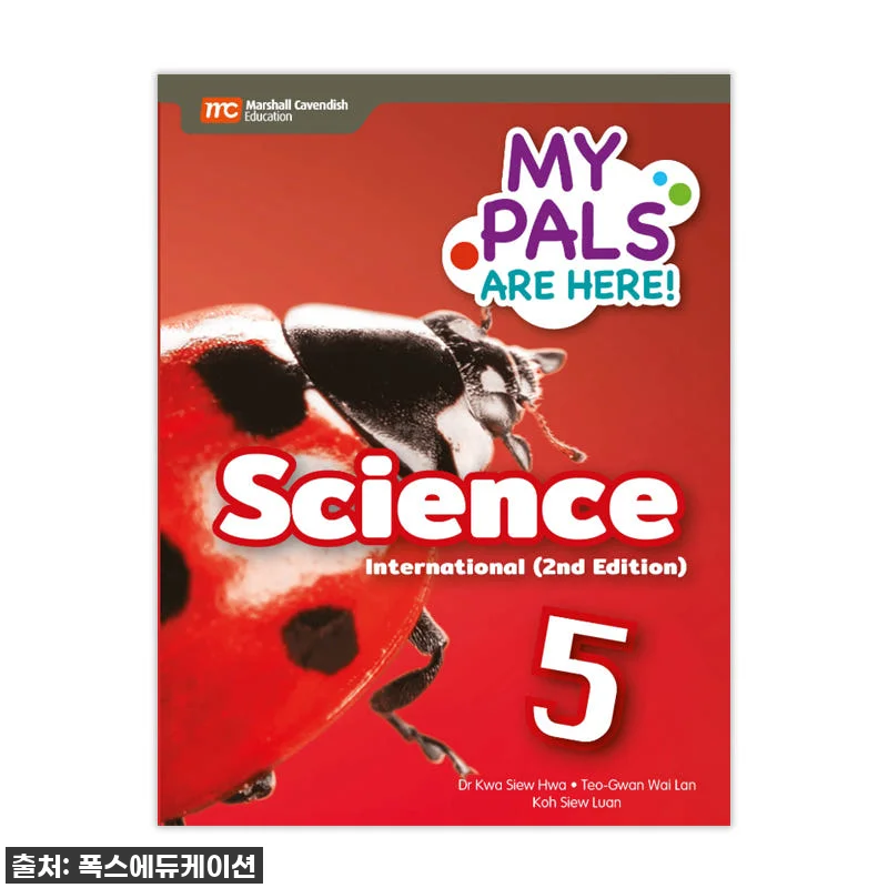 드디어 찾았다! 국제학교 5학년 필수 관련 이미지 1