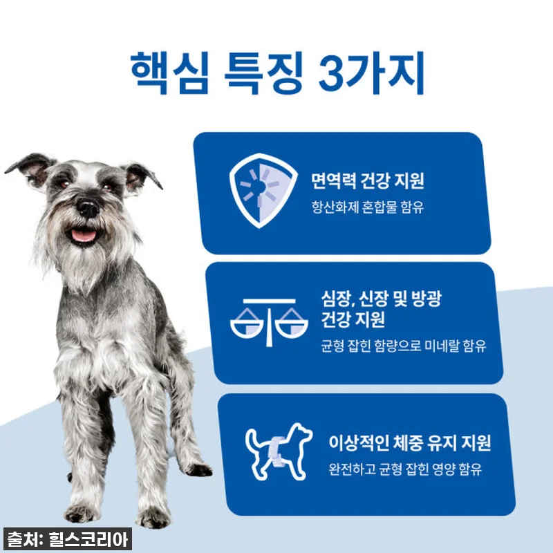 우리집 댕댕이, 밥상 혁명템 발견! 관련 이미지 2