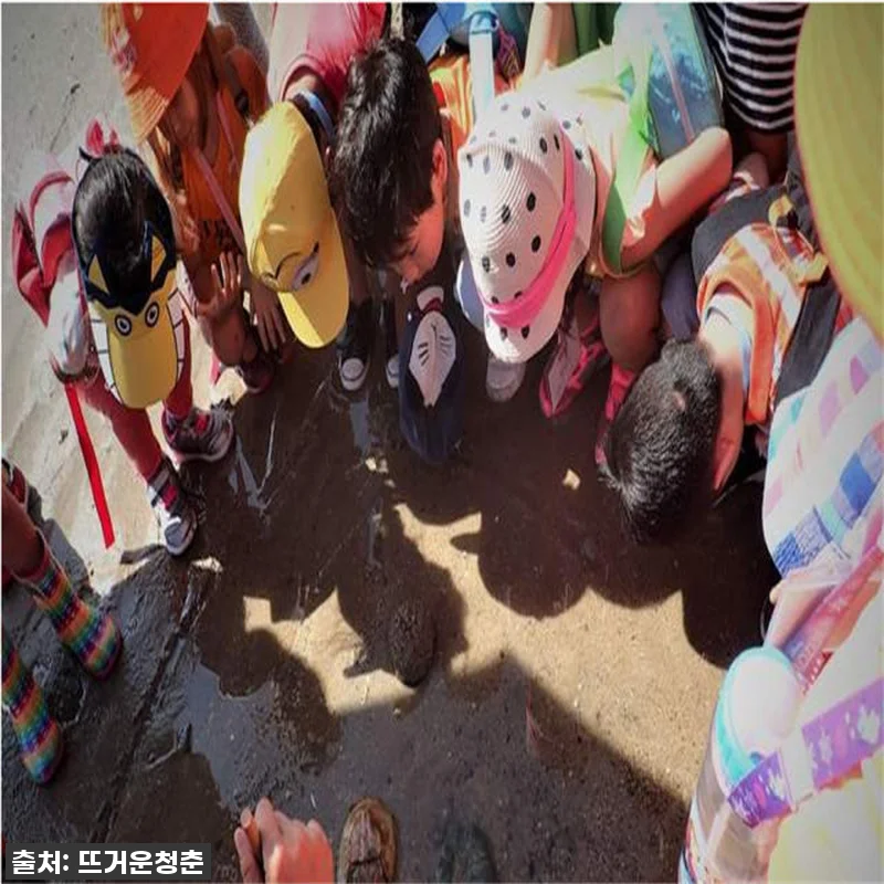 싱가포르 와일드라이프 자연 워킹 투어 관련 이미지 2