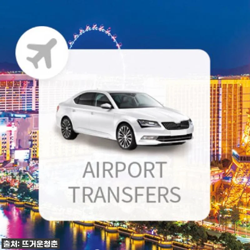 미국 라스베이거스 매캐런 국제공항(L 관련 이미지 2