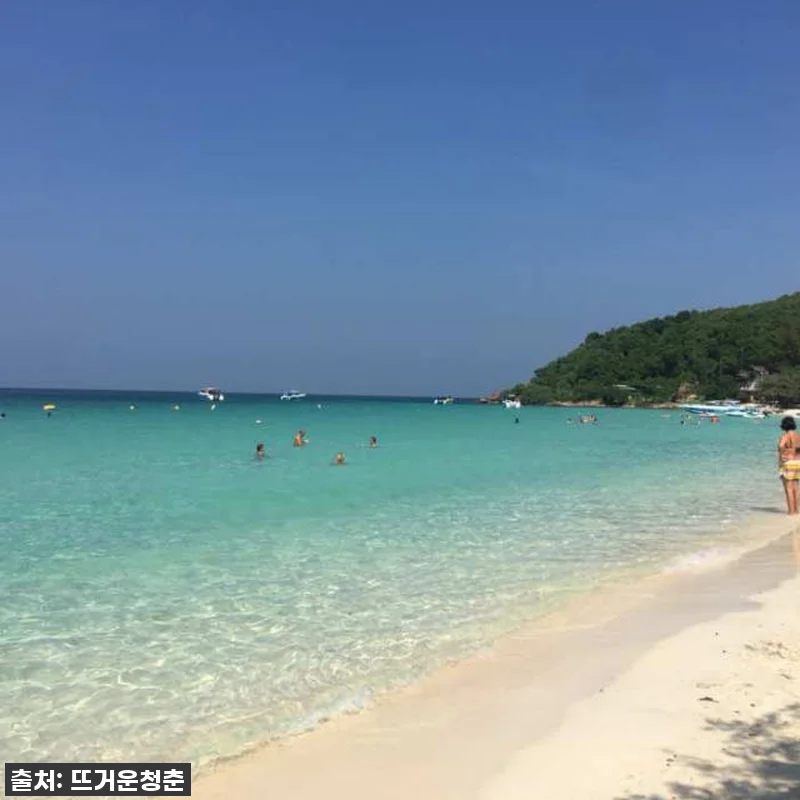 품절임박! 태국 파타야 산호섬 해양스 관련 이미지 2