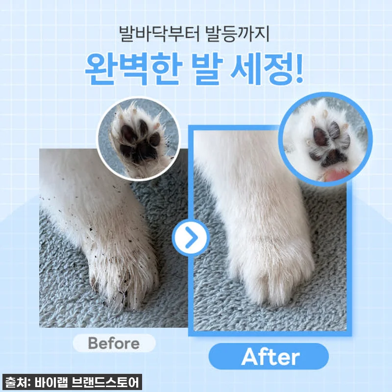 🐾 발바닥 관리 유목민 드디어 정착! 관련 이미지 2