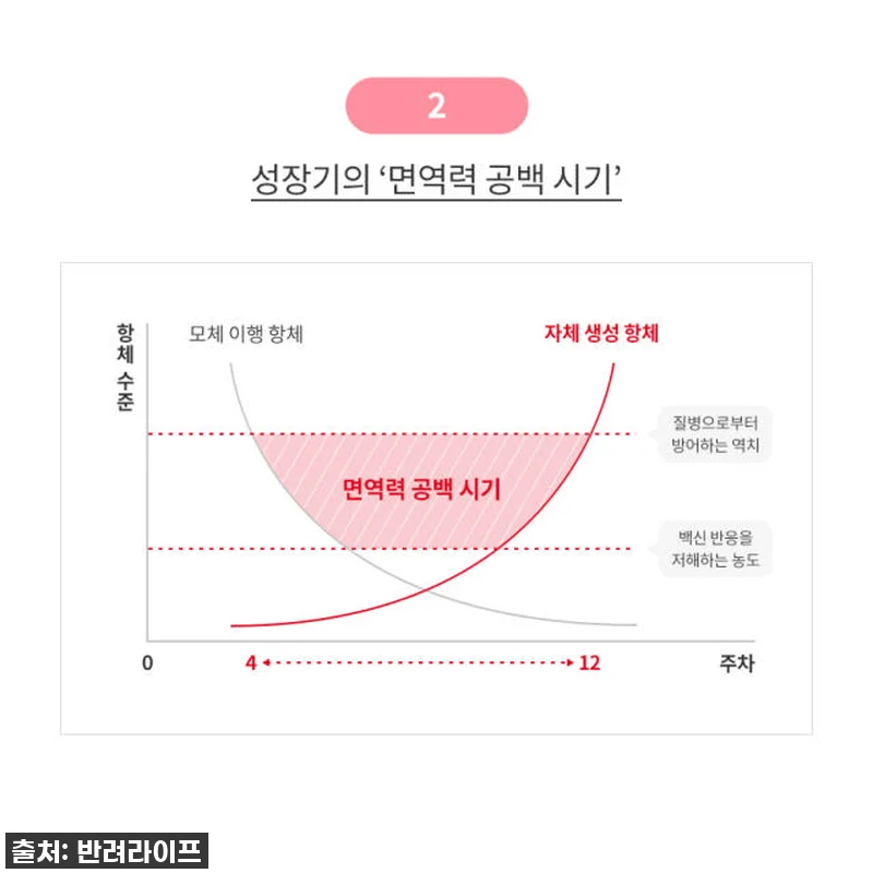 육아묘 필수템! 찐후기: 로얄캐닌 캣 관련 이미지 3