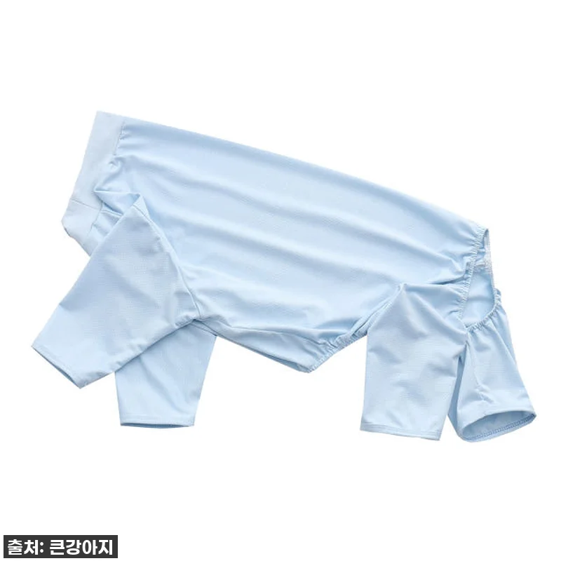 우리 토리 여름 산책 필수템! 찐후기) 강아지 올인원 쿨링 실내복, 진드기 걱정 뚝! 13 우리 토리 여름 산책 필수템! 찐후기 관련 이미지 4