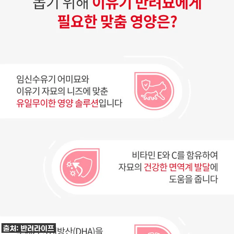 육아묘 필수템! 찐후기: 로얄캐닌 캣 관련 이미지 4