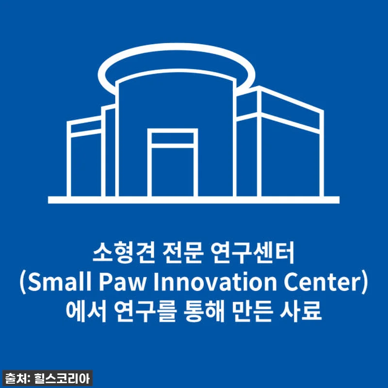 우리집 댕댕이, 밥상 혁명템 발견! 관련 이미지 5
