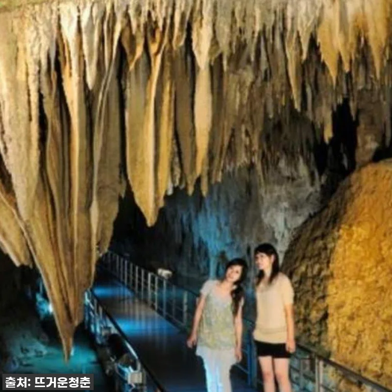 오키나와 여행 필수템! 일본 오키나와 관련 이미지 6