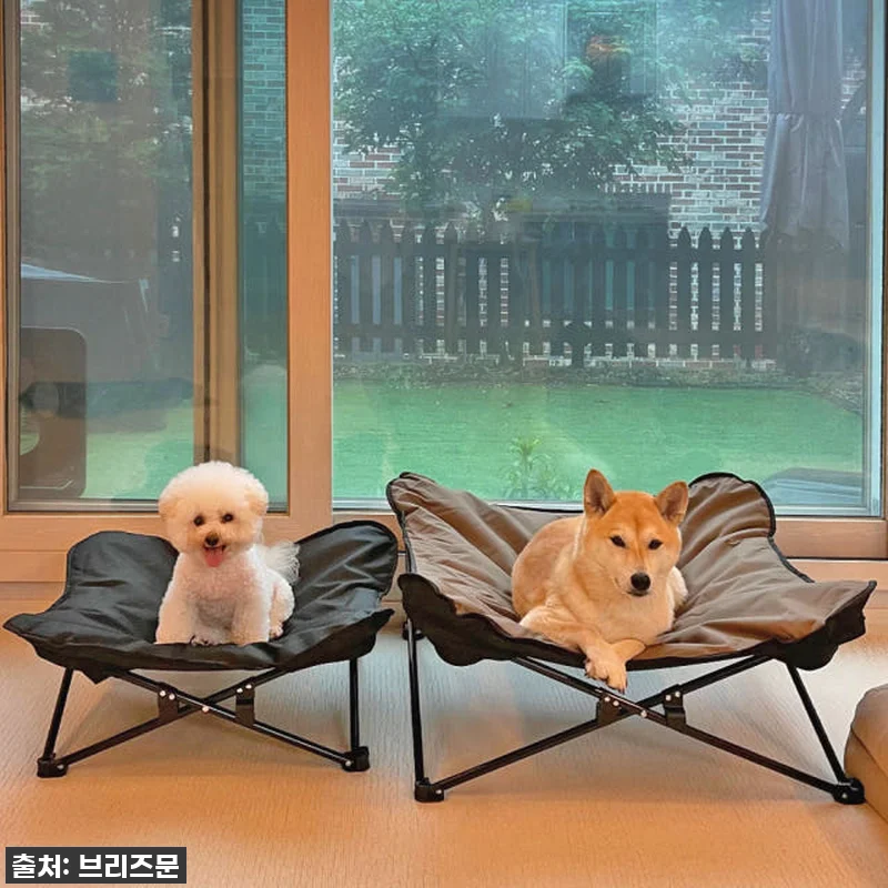 우리 댕댕이 꿀잠 보장! 역대급 할인 관련 이미지 6