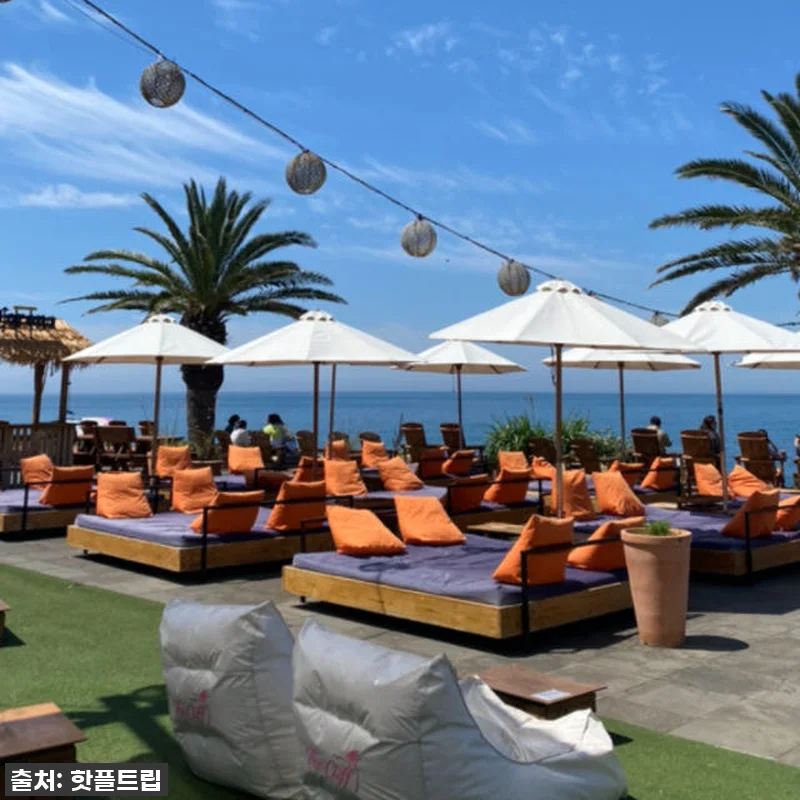 [긴급공지] 품절임박! 제주도 핫플트 관련 이미지 7