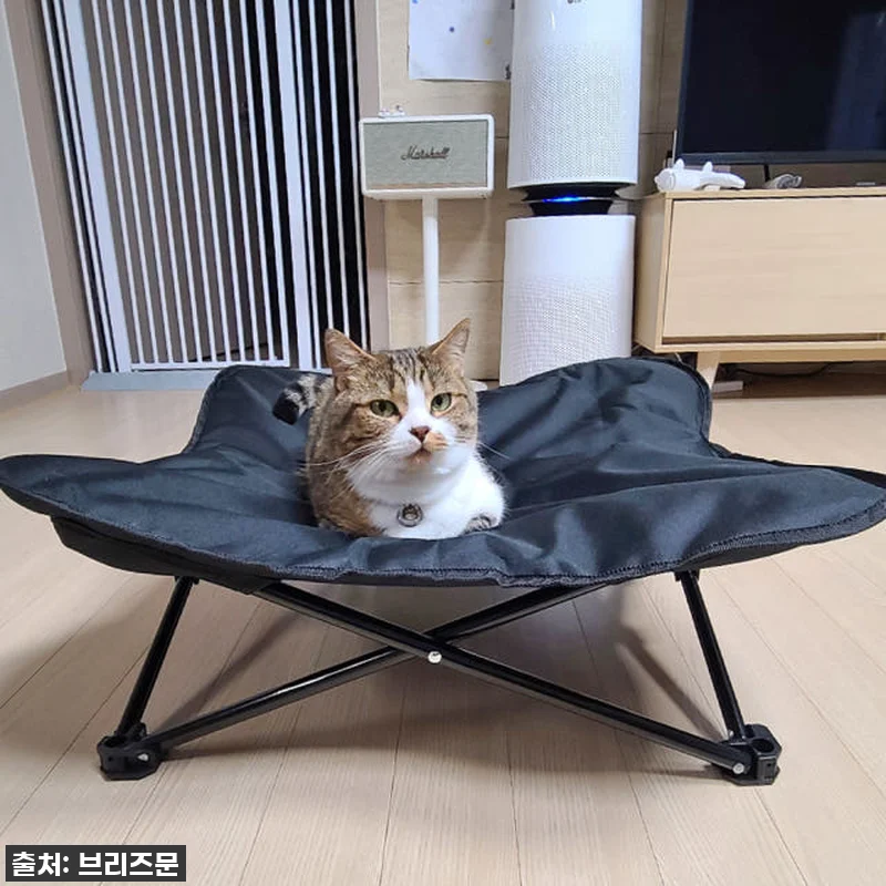 우리 댕댕이 꿀잠 보장! 역대급 할인 관련 이미지 7