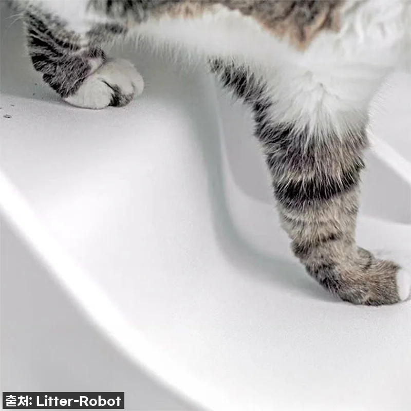 우리 냥이 관절은 소중하니까! 리터로 관련 이미지 7