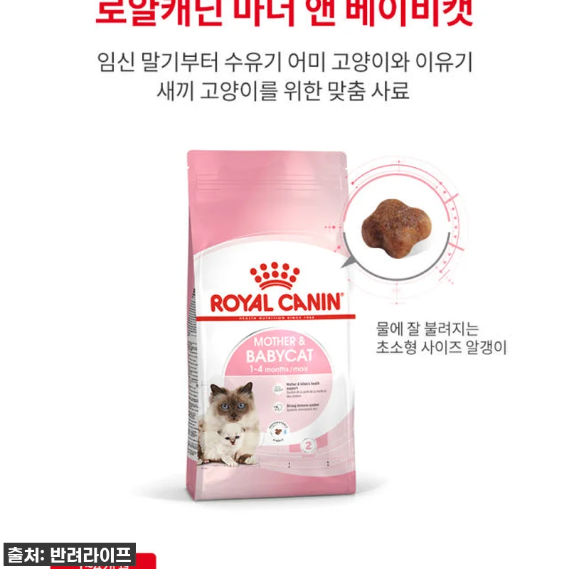 육아묘 필수템! 찐후기: 로얄캐닌 캣 관련 이미지 7
