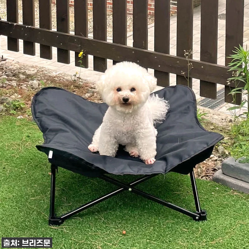 우리 댕댕이 꿀잠 보장! 역대급 할인 관련 이미지 8