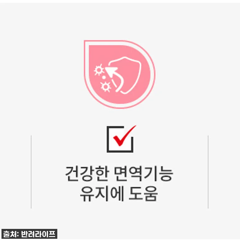 육아묘 필수템! 찐후기: 로얄캐닌 캣 관련 이미지 8