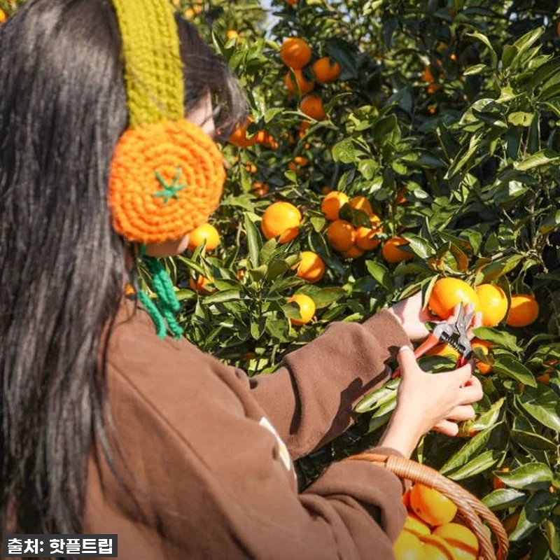 [긴급공지] 품절임박! 제주도 핫플트 관련 이미지 9