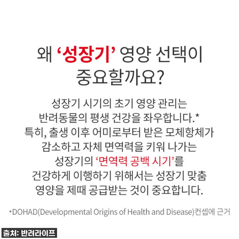 육아묘 필수템! 찐후기: 로얄캐닌 캣 관련 이미지 9