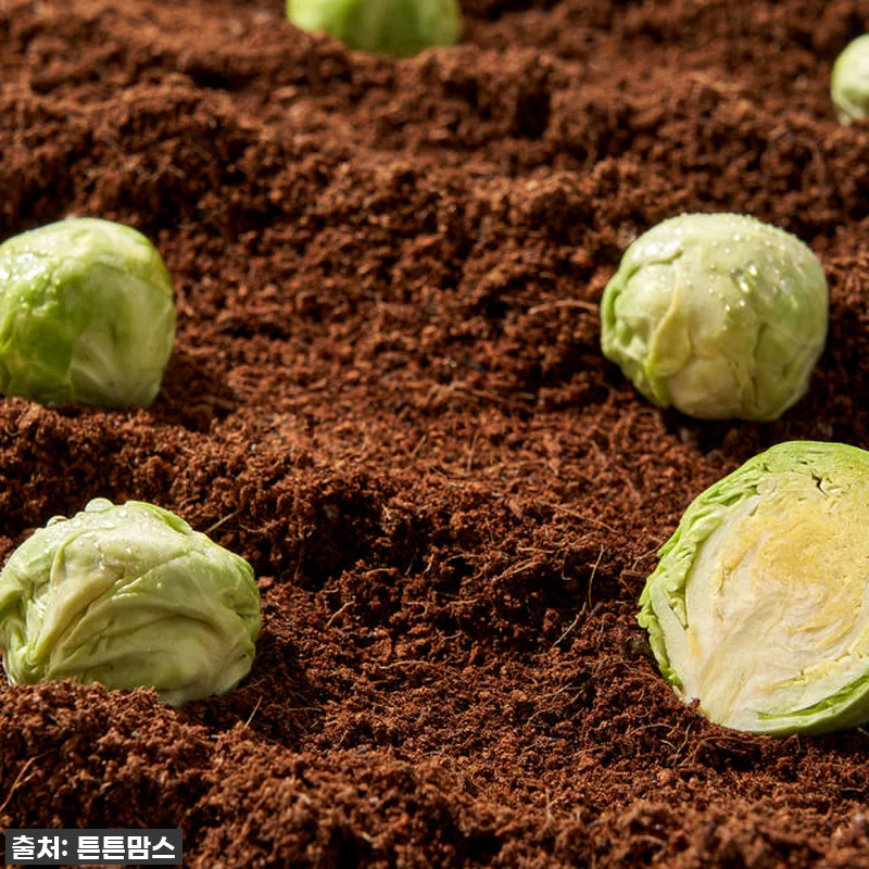 튼튼맘스 출산선물 제주 양배추 모유수 관련 이미지 9