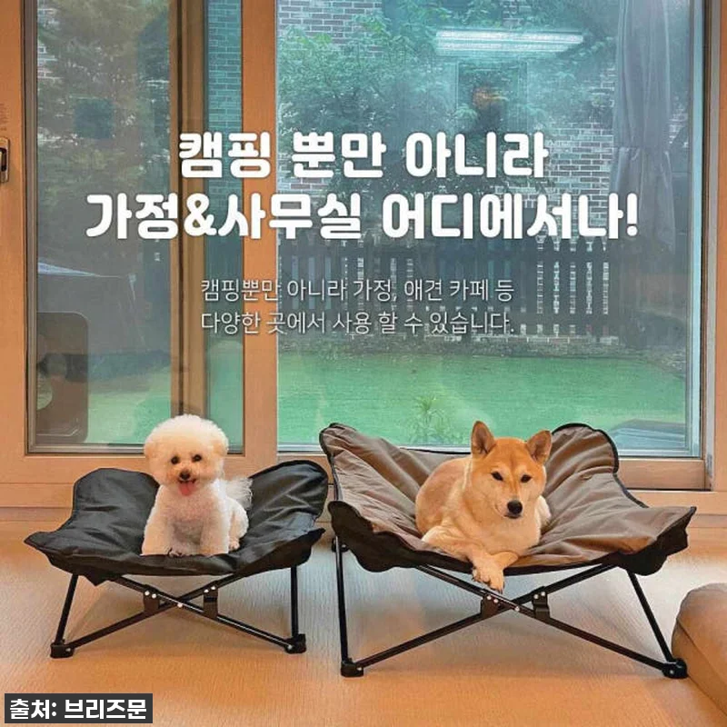 우리 댕댕이 꿀잠 보장! 역대급 할인 관련 이미지 10