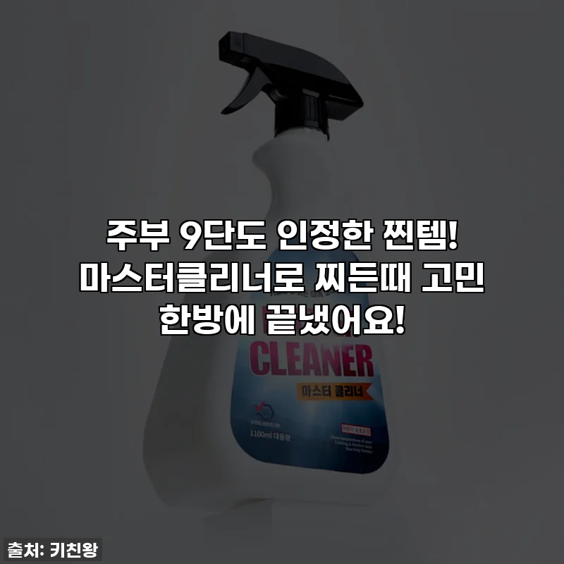 주부 9단도 인정한 찐템! 마스터클리너로 찌든때 고민 한방에 끝냈어요!