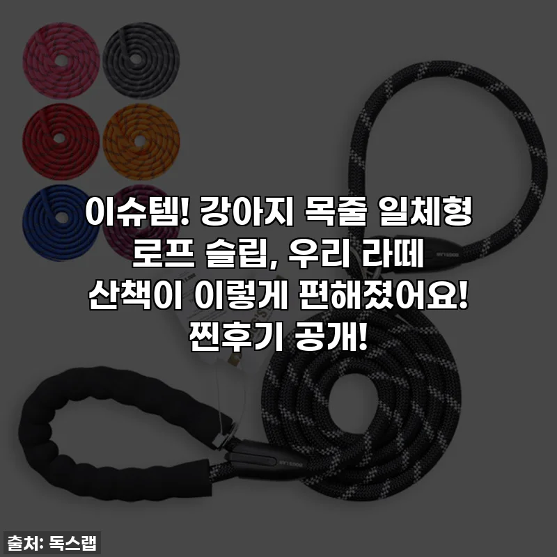 이슈템! 강아지 목줄 일체형 로프 슬립, 우리 라떼 산책이 이렇게 편해졌어요! 찐후기 공개!