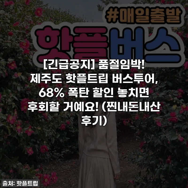 [긴급공지] 품절임박! 제주도 핫플트립 버스투어, 68% 폭탄 할인 놓치면 후회할 거예요! (찐내돈내산 후기)