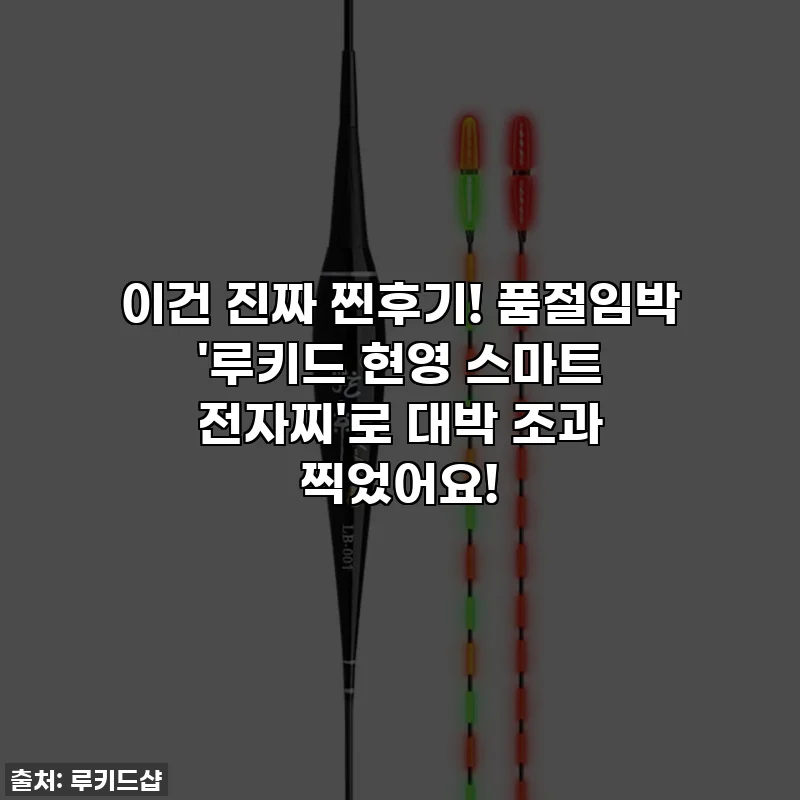 이건 진짜 찐후기! 품절임박 '루키드 현영 스마트 전자찌'로 대박 조과 찍었어요!