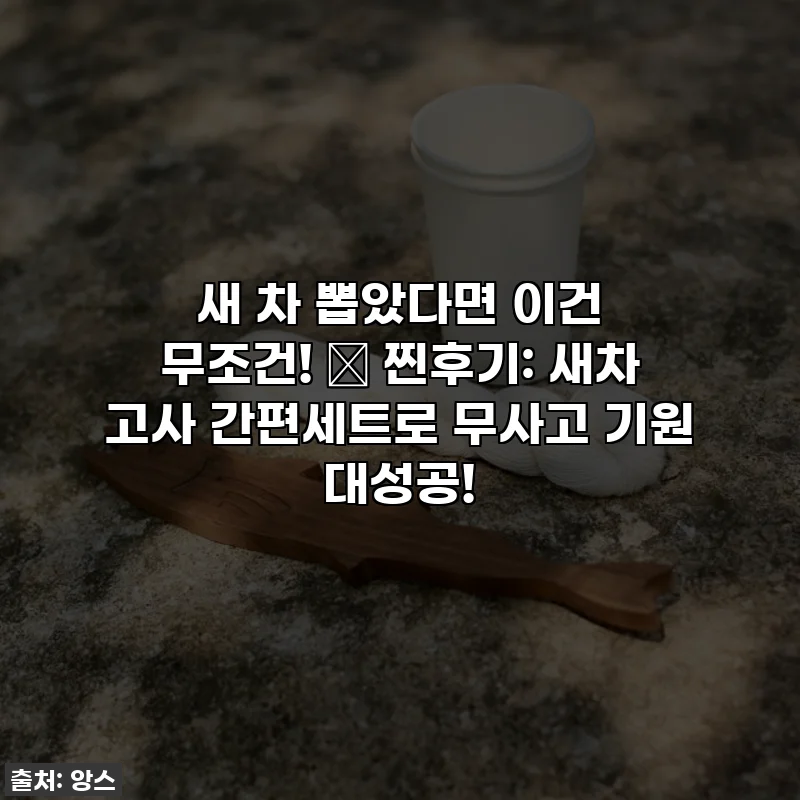 새 차 뽑았다면 이건 무조건! ✨ 찐후기: 새차 고사 간편세트로 무사고 기원 대성공!