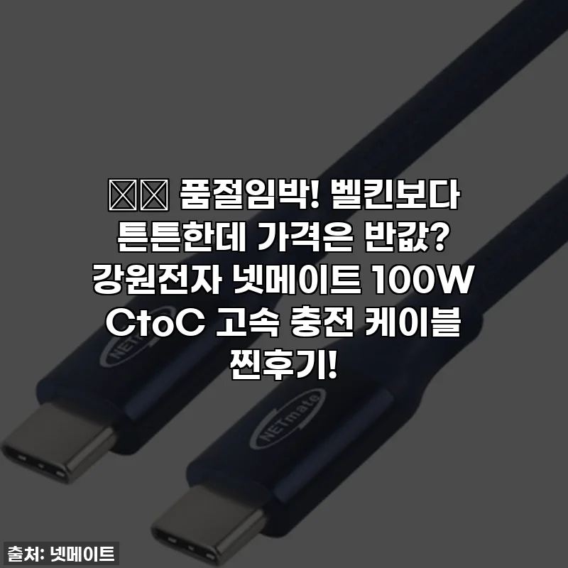 ⚡️ 품절임박! 벨킨보다 튼튼한데 가격은 반값? 강원전자 넷메이트 100W CtoC 고속 충전 케이블 찐후기!