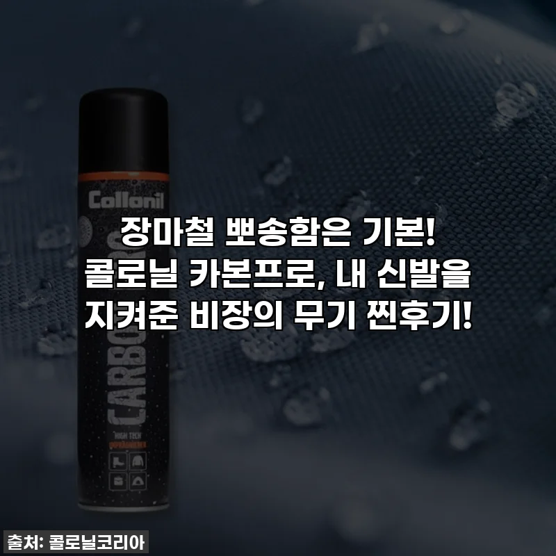 장마철 뽀송함은 기본! 콜로닐 카본프로, 내 신발을 지켜준 비장의 무기 찐후기!