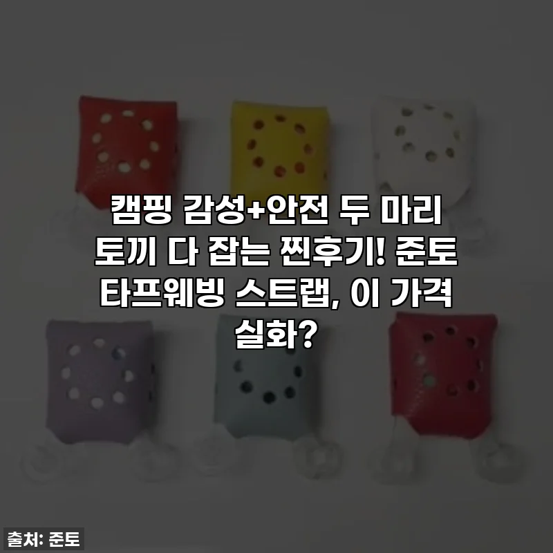 캠핑 감성+안전 두 마리 토끼 다 잡는 찐후기! 준토 타프웨빙 스트랩, 이 가격 실화?