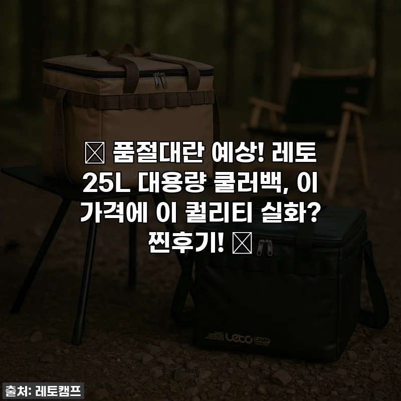 🔥 품절대란 예상! 레토 25L 대용량 쿨러백, 이 가격에 이 퀄리티 실화? 찐후기! 🔥
