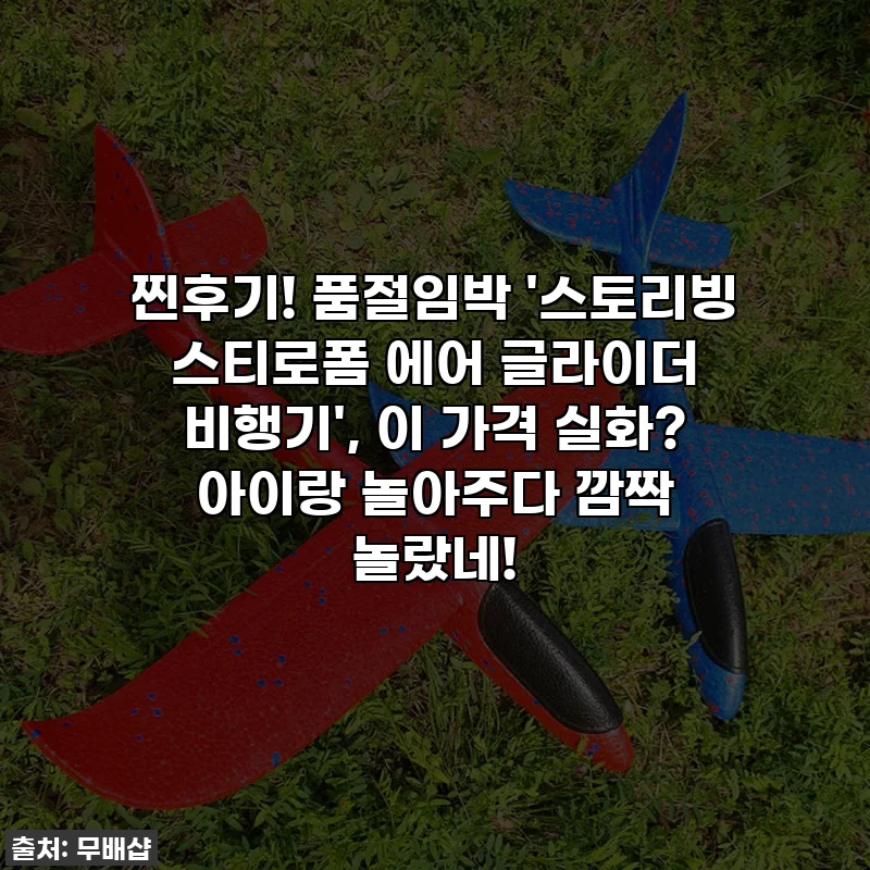 찐후기! 품절임박 '스토리빙 스티로폼 에어 글라이더 비행기', 이 가격 실화? 아이랑 놀아주다 깜짝 놀랐네!