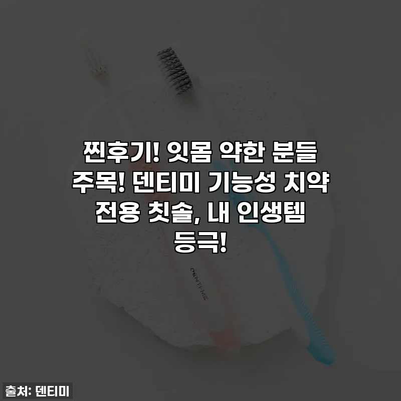 찐후기! 잇몸 약한 분들 주목! 덴티미 기능성 치약 전용 칫솔, 내 인생템 등극!