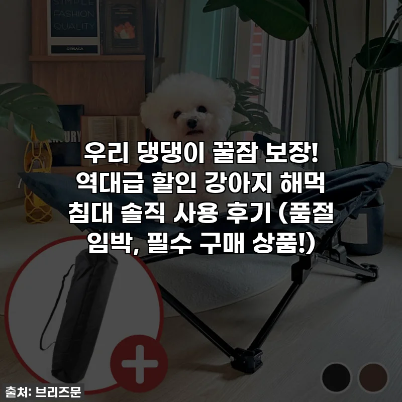 우리 댕댕이 꿀잠 보장! 역대급 할인 강아지 해먹 침대 솔직 사용 후기 (품절 임박, 필수 구매 상품!)